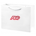 ADP 13 x 5 x 10 Gloss Laminate Euro Tote