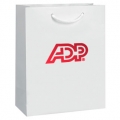 ADP 8 x 4 x 10 Gloss Laminate Euro Tote